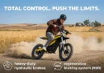 Heybike Villain Ultimate Electric Pit Bike - Image 5